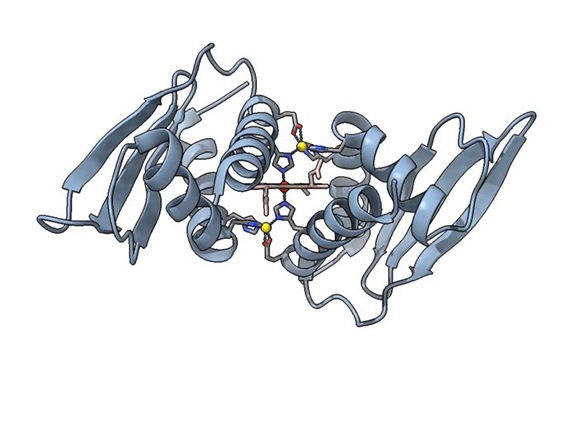 https://jgi.doe.gov/pinning-down-a-piece-of-photosynthesis/