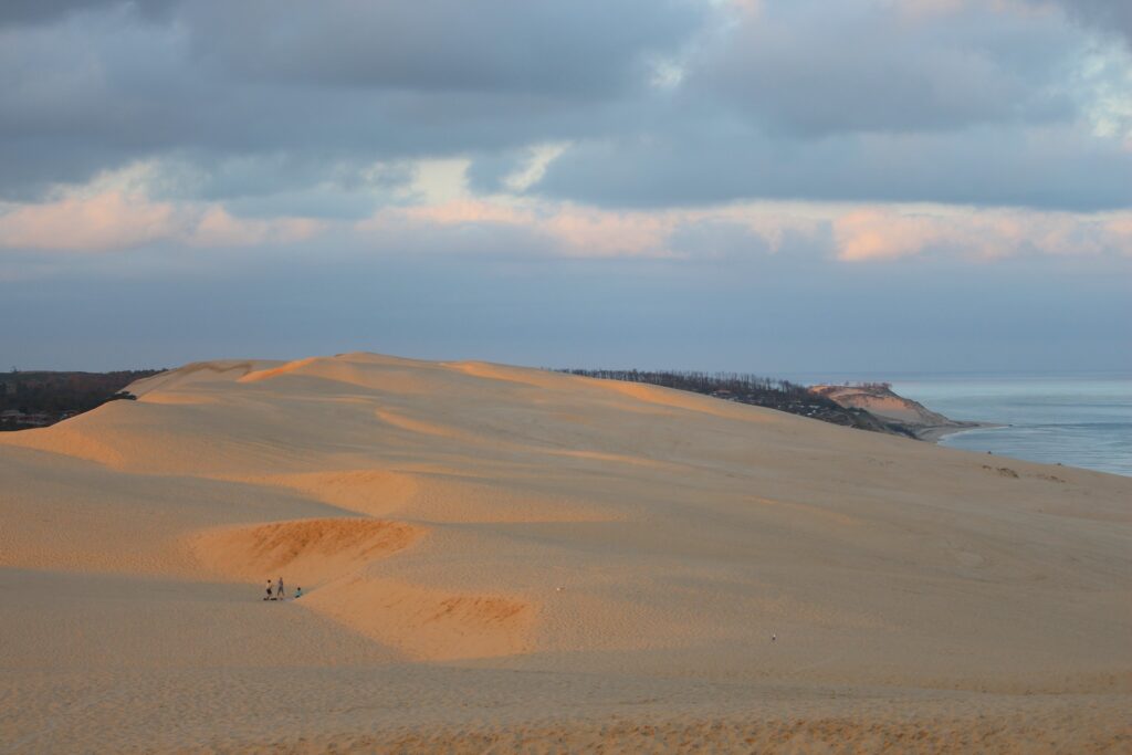 Explorer, s'émerveiller... Nos activités en septembre et en octobre ! - Dune du Pilat