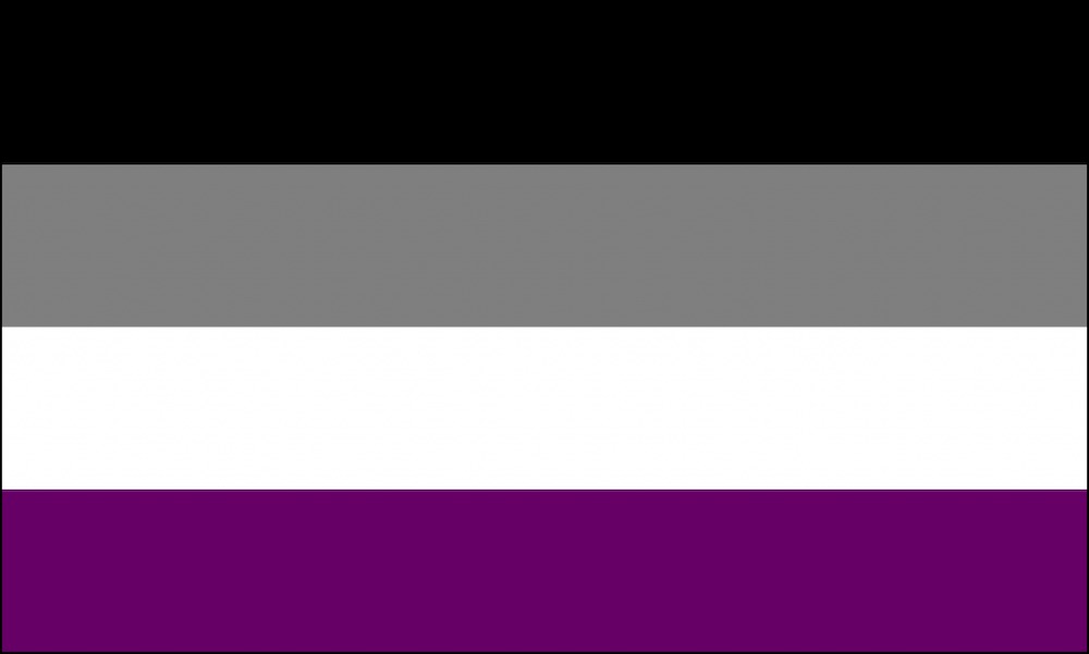 From top to bottom, the asexual flag has black, grey, white and purple stripes.