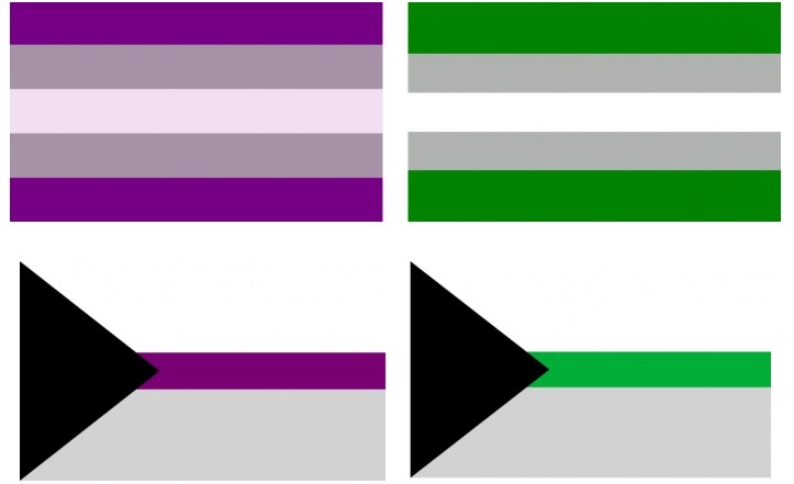 Clockwise from left to right, these are the gray asexual, gray romantic, demi-romantic and demi-sexual flags.