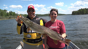 Spoon feeding Northern Pike thumbnail