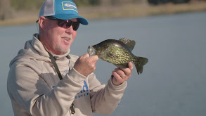 Citrus County Bassin' thumbnail