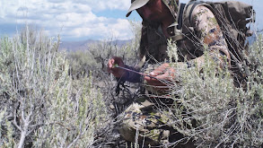 Bowhunting Nevada Muleys thumbnail