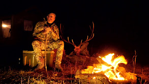 Bowhunting Public Land Elk, 2016 thumbnail