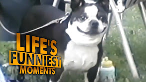 Life's Funniest Moments thumbnail