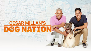 Cesar Millan's Dog Nation thumbnail