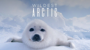 Wildest Arctic thumbnail