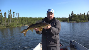 Rough Water Walleye thumbnail