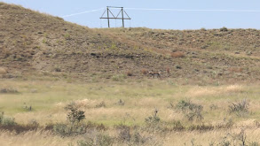 Speed Goat Hunting In Colorado thumbnail