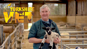 The Yorkshire Vet thumbnail