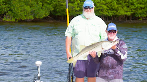 Key Largo Silver Sides thumbnail