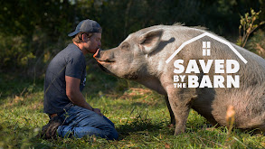 Saved By The Barn thumbnail