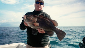 Fighting Sailfish in Costa Rica thumbnail