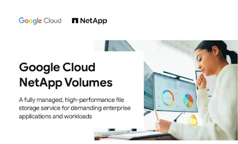 mulher no computador com Google Cloud NetApp Volumes do NetApp