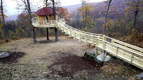 Black Bear Bungalow thumbnail