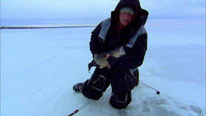 Cycling Ice Walleyes thumbnail