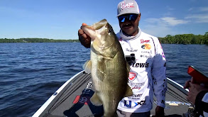 MLF Bass Pro Tour: Stage Five: 2024 Mark Daniels Jr. Two thumbnail