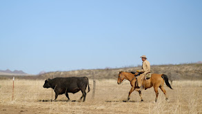 Mountain Lion With Warner Glenn thumbnail