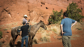 N. Scott Momaday: Words From a Bear thumbnail