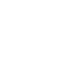 Pau FC