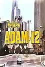 The New Adam-12 (1990)