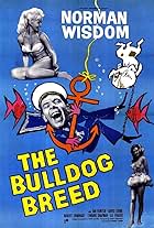 The Bulldog Breed