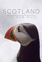 Scotland: The New Wild (2023)