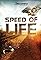 Speed of Life's primary photo