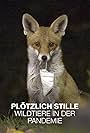 Plötzlich Stille: Wildtiere in der Pandemie (2023)