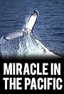 Miracle in the Pacific (2004)