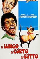 Il lungo, il corto, il gatto