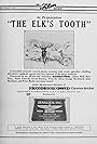 The Elk's Tooth (1924)