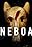 Néboa