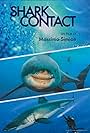 Shark Contact (2013)