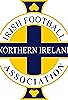 Primary photo for Northern Ireland National Football Team