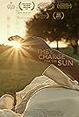 They Charge for the Sun (2016)