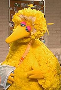 Primary photo for Big Bird Sprains His Wing