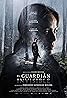 The Invisible Guardian (2017) Poster