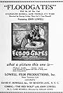 Floodgates (1924)