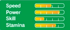 DK's stats in Rio 2016 3DS