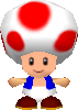 Toad