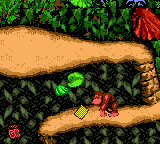 The DK Sticker Pack location in Jungle Hijinxs in the Game Boy Color port of Donkey Kong Country.