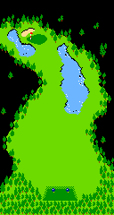 Map of a hole in Stroke & Match Golf (Ladies' version) for the VS. System