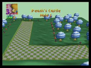 The third hole of Peach's Castle from Mario Golf (Nintendo 64)