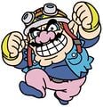 WarioWare: Get It Together!