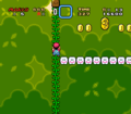 Super Mario World