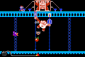 Donkey Kong Jr.