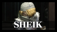 SubspaceIntro-Sheik.png