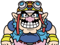 WarioWare: Get It Together!