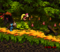 Riverside Race DKC3.png